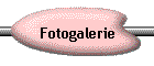 Fotogalerie