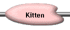 Kitten